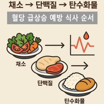 채소, 단백질, 탄수화물 순서로 나열된 식단 이미지